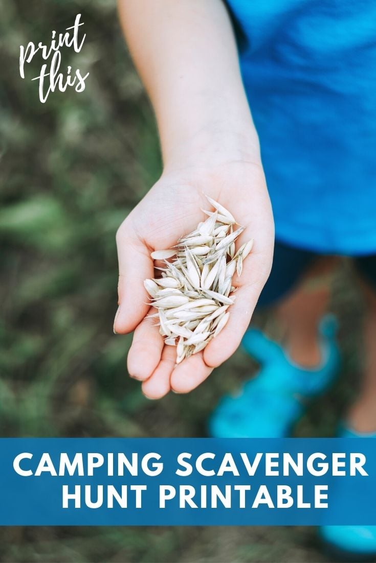 Camping Scavenger Hunt Printable