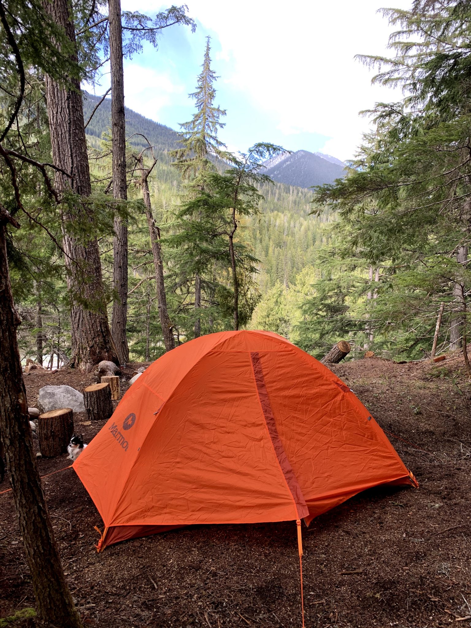 Campfire Pie Iron Pizza Pocket » Campfire Foodie