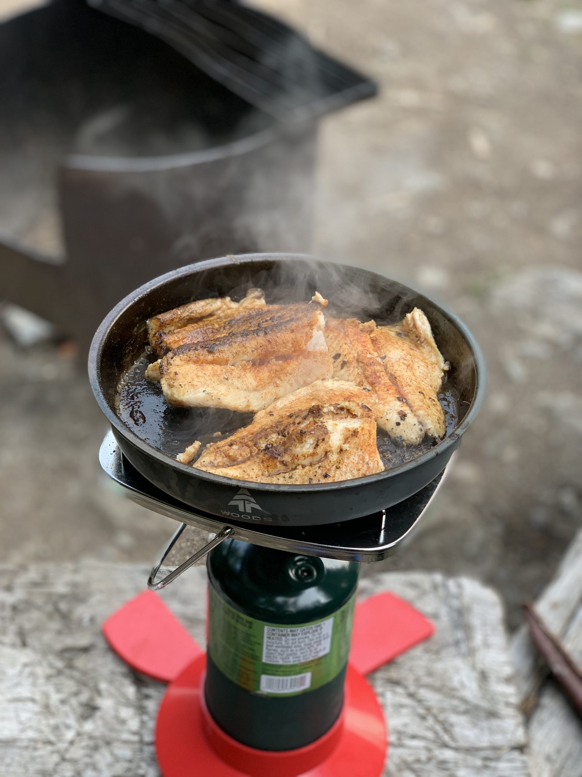 Backpacking Fish Fry