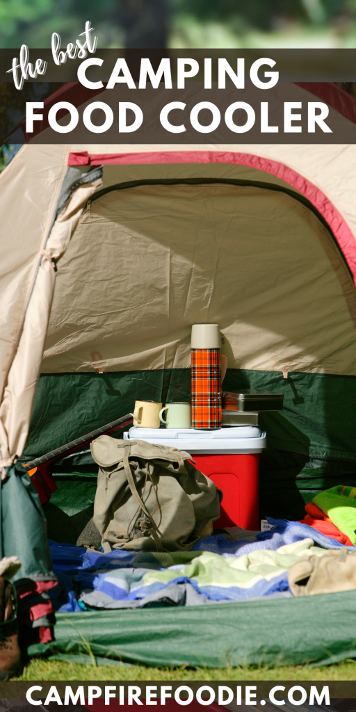 The Best Camping Food Cooler