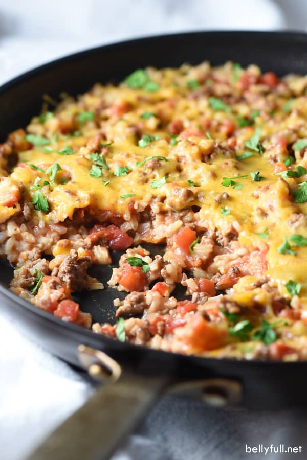 https://campfirefoodie.com/wp-content/uploads/2023/02/Mexican-Rice-Skillet-blog-2.jpg