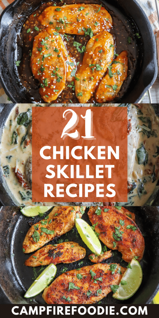 Enjoy mouthwatering cast iron skillet chicken recipes while camping. Elevate your camp cooking with these delicious dishes!