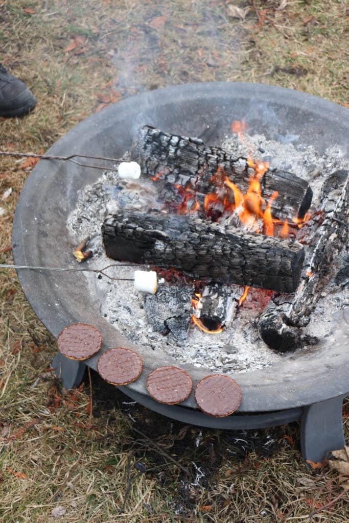 A fire pit crackles with burning logs and flames, surrounded by ash. Two skewers, perfect for crafting the best smores, hold marshmallows above the fire. Nearby, four raw hamburger patties rest on the pits edge as grass and a shoe peek out from the background.