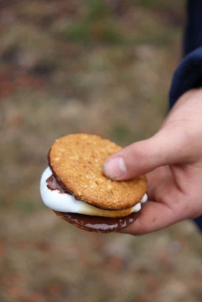 A hand holds the best smores made with toasted marshmallow and chocolate, all perfectly sandwiched between two round oatmeal cookies. The background showcases a blurred outdoor setting, capturing the essence of delightful campfire moments.