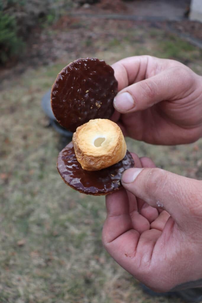 Two hands are holding the best smores dessert, featuring two chocolate-covered round wafers with a small pastry sandwiched between them. The background shows a grassy area.