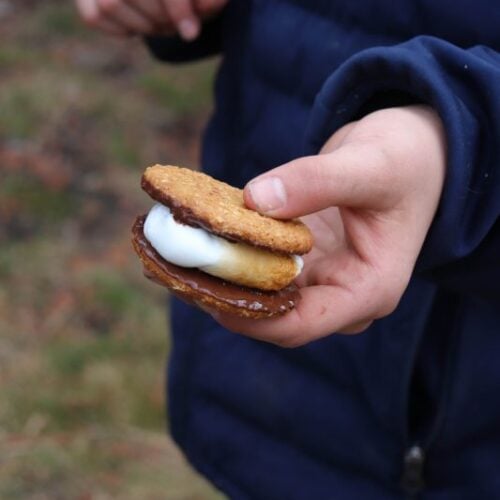 A person in a blue jacket holds what might just be the best smore, featuring a toasted marshmallow and chocolate nestled between two cookies. The grassy background is sprinkled with scattered brown leaves.