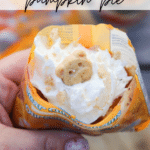A hand holds an open snack bag filled with whipped cream and bear-shaped graham crackers. The text above reads Walking Dessert Pumpkin Pie. Website campfirefoodie.com is shown at the bottom.
