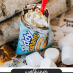 A bag of Teddy Grahams filled with whipped cream, chocolate, and graham cracker crumbs sits beside marshmallows and a s’more. Text reads, “Walking S’mores Recipe, campfirefoodie.com.”.