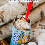 A bag of Teddy Grahams used as a container for a smores dessert, topped with whipped cream and crushed graham crackers, with a red spoon. Marshmallows and birch logs are in the background. Text reads “Walking s’mores recipe.”.
