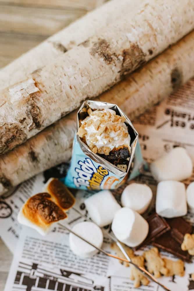 A smores treat is made in a kids snack bag, topped with whipped cream and crushed graham crackers, surrounded by birch logs, marshmallows, chocolate, graham crackers, and a toasted marshmallow on a skewer.